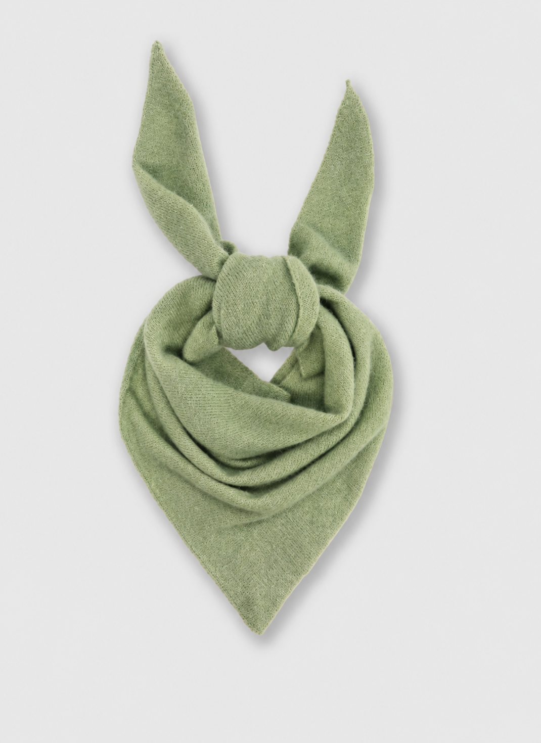 Roberto Collina Bandana