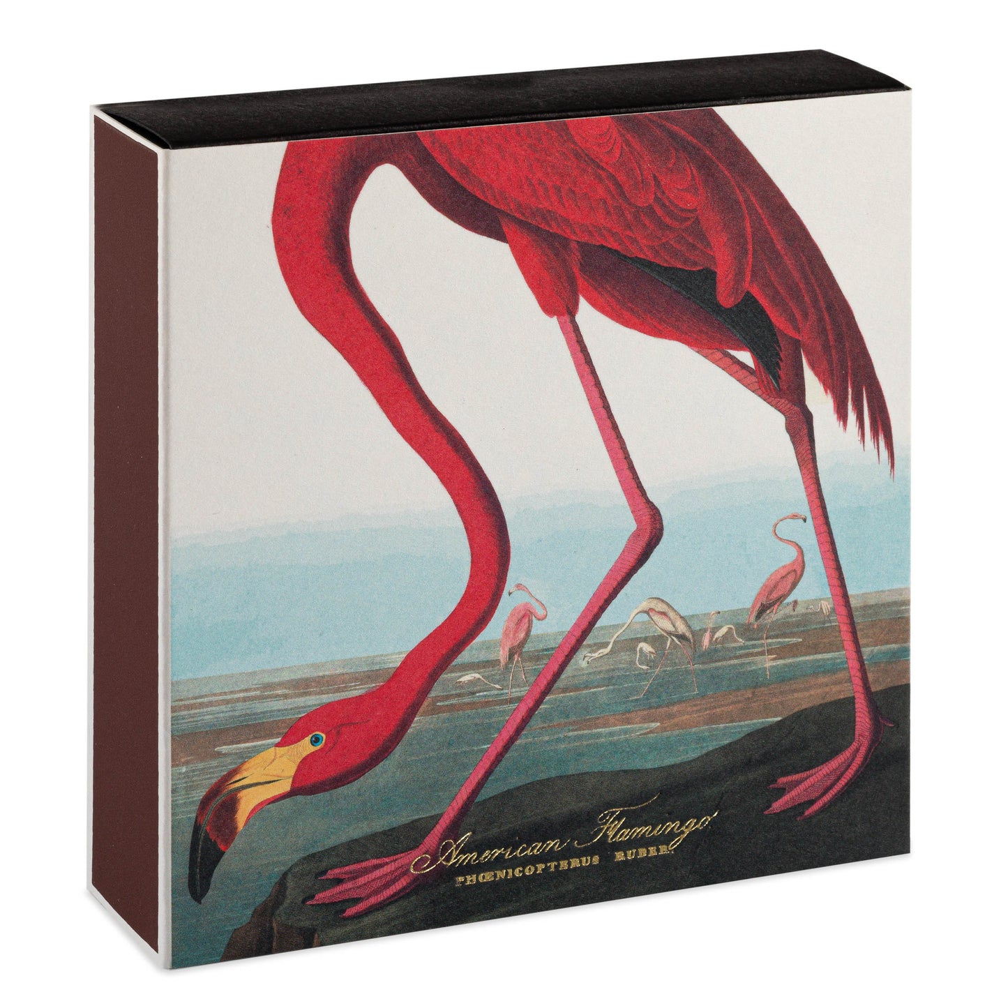 Archivist B316 The American Flamingo