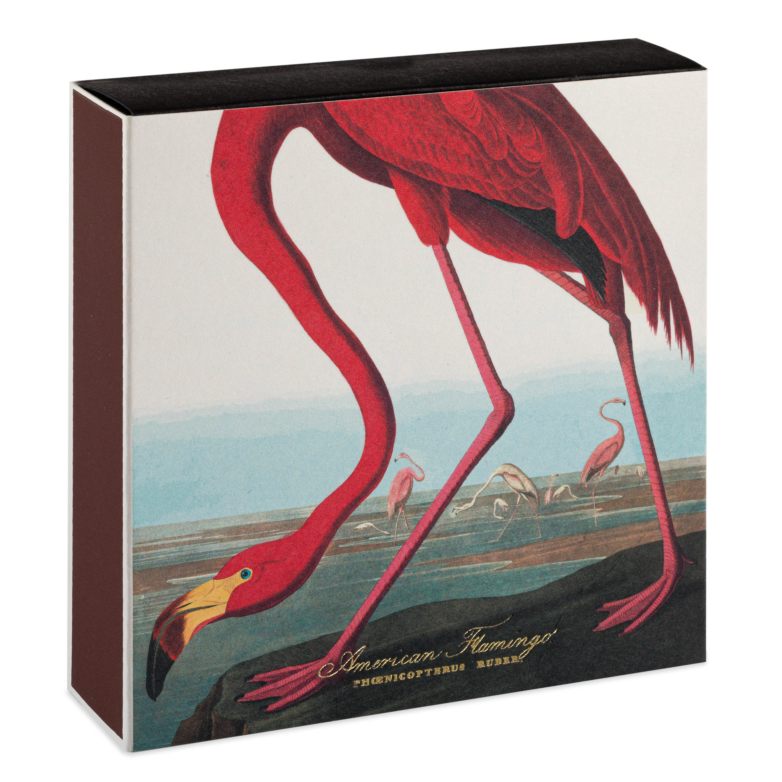 Archivist B316 The American Flamingo