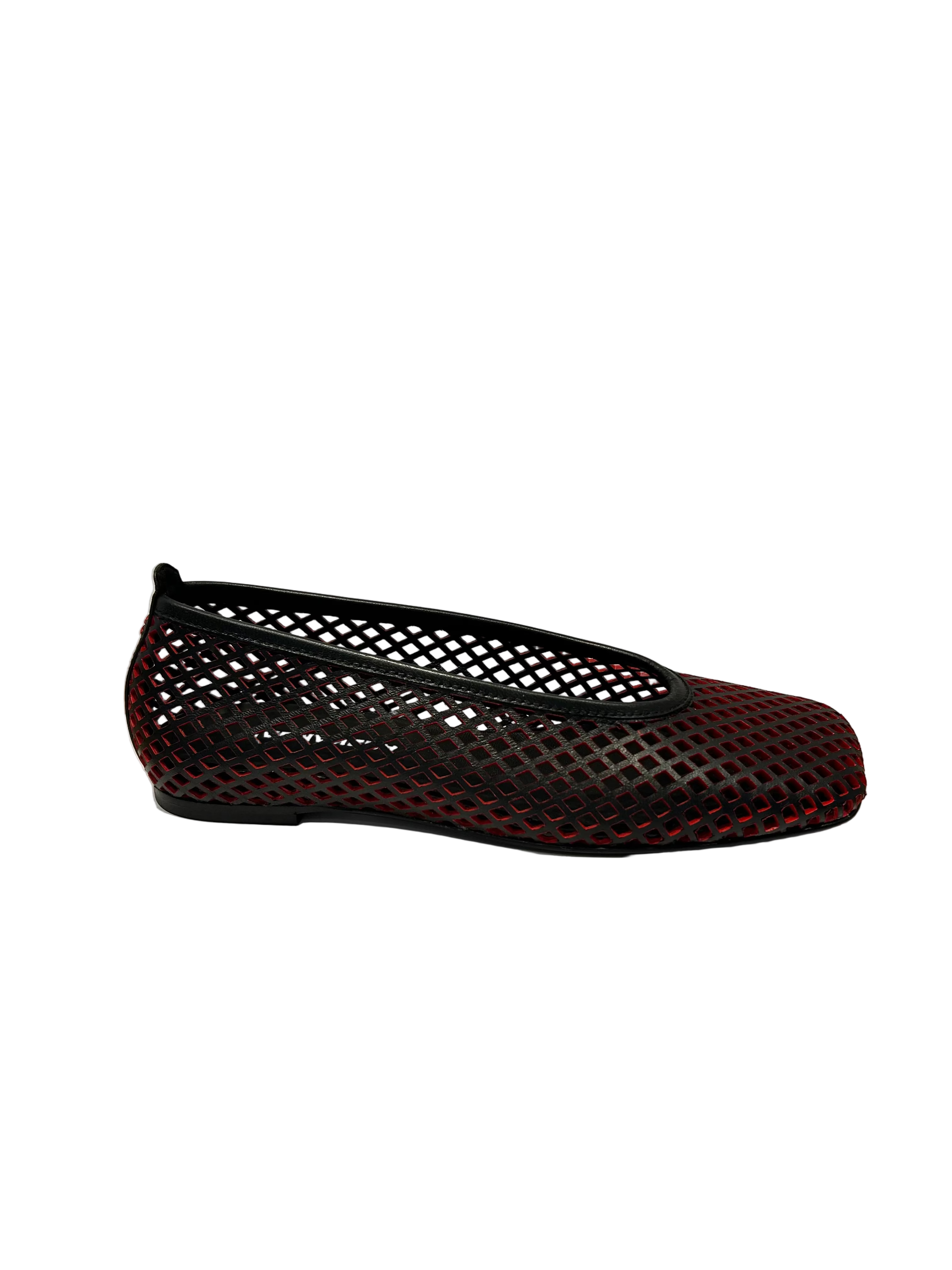 Halmanera MONIC07