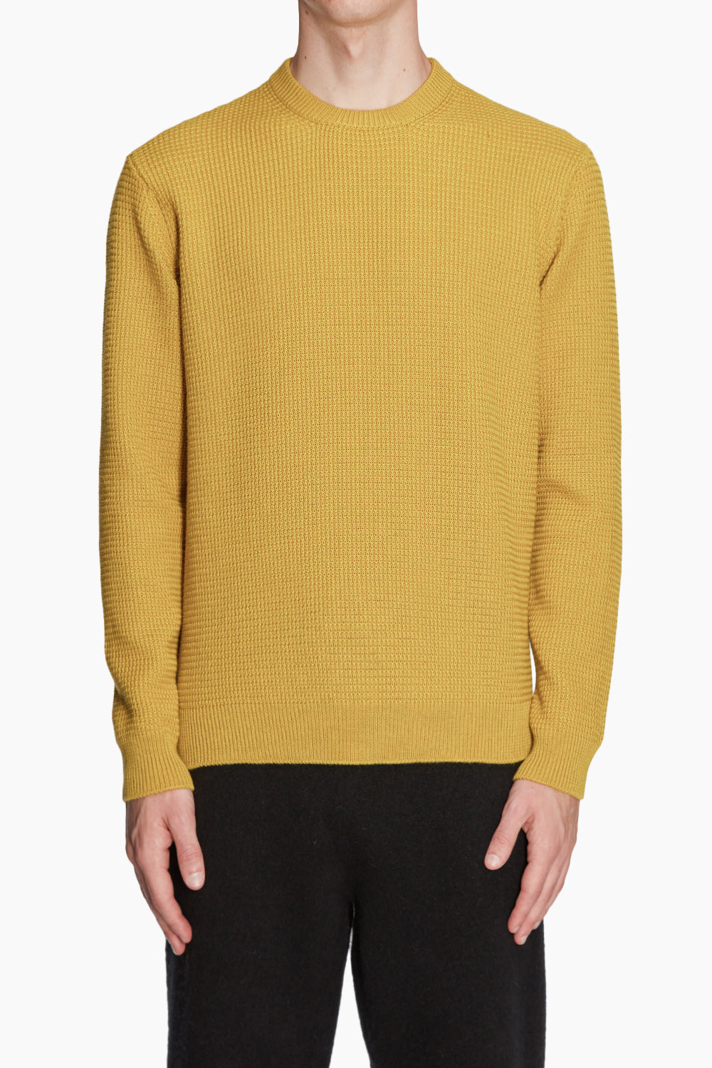 Roberto Collina Punto Militare RP02301