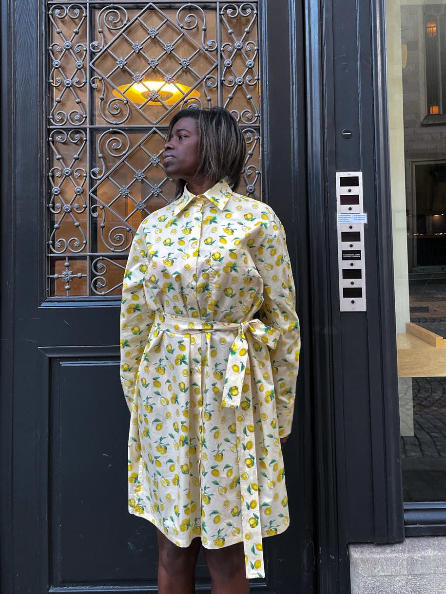 SPORTMAX Boero Dress