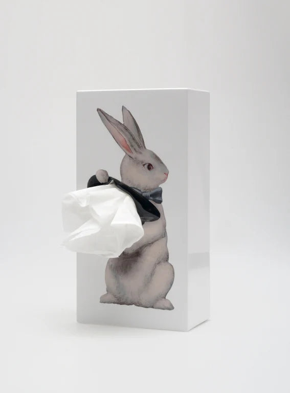 TISSUE UP TALE ALICE RABBIT