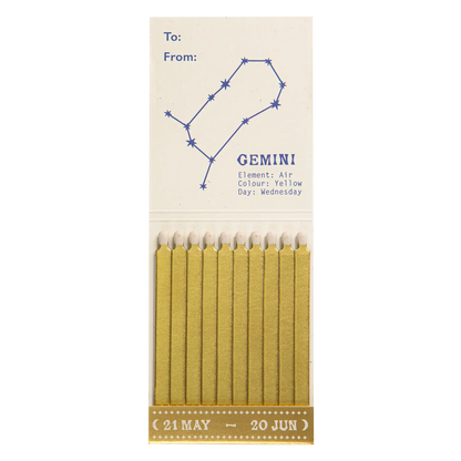 Archivist Gemini Zodiac Matchbook