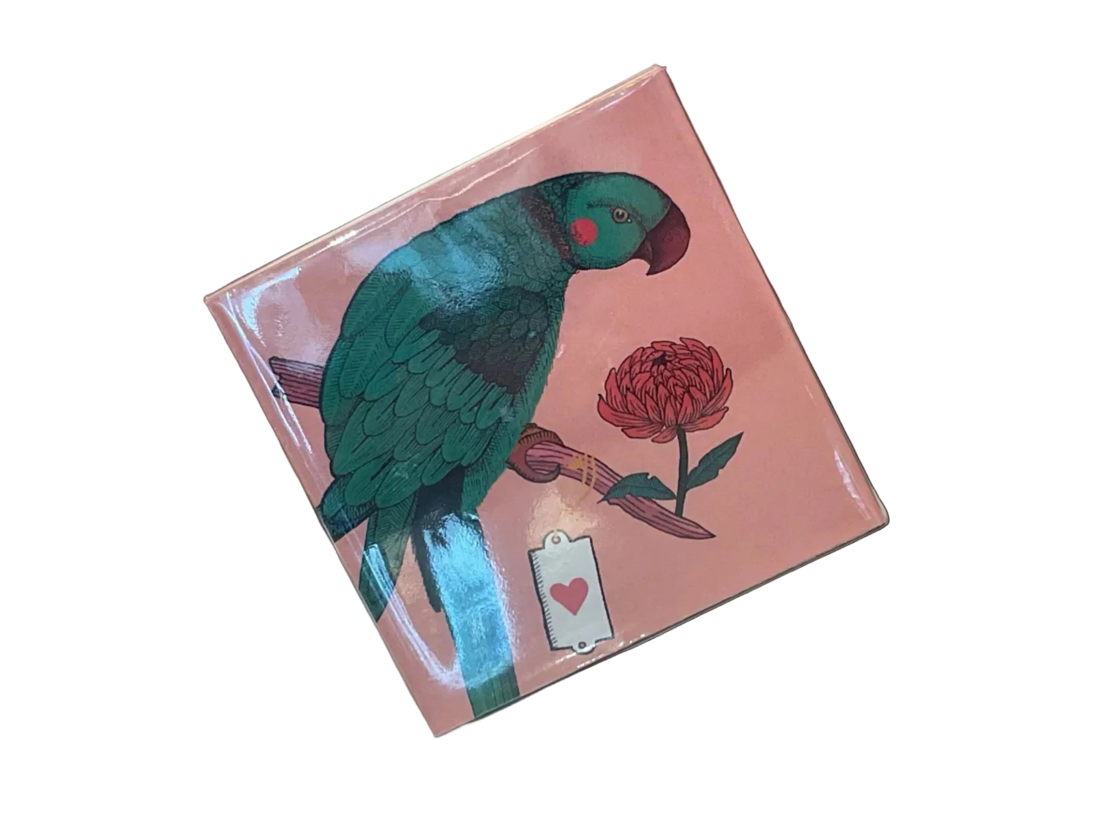 Archivist Parrot Matches