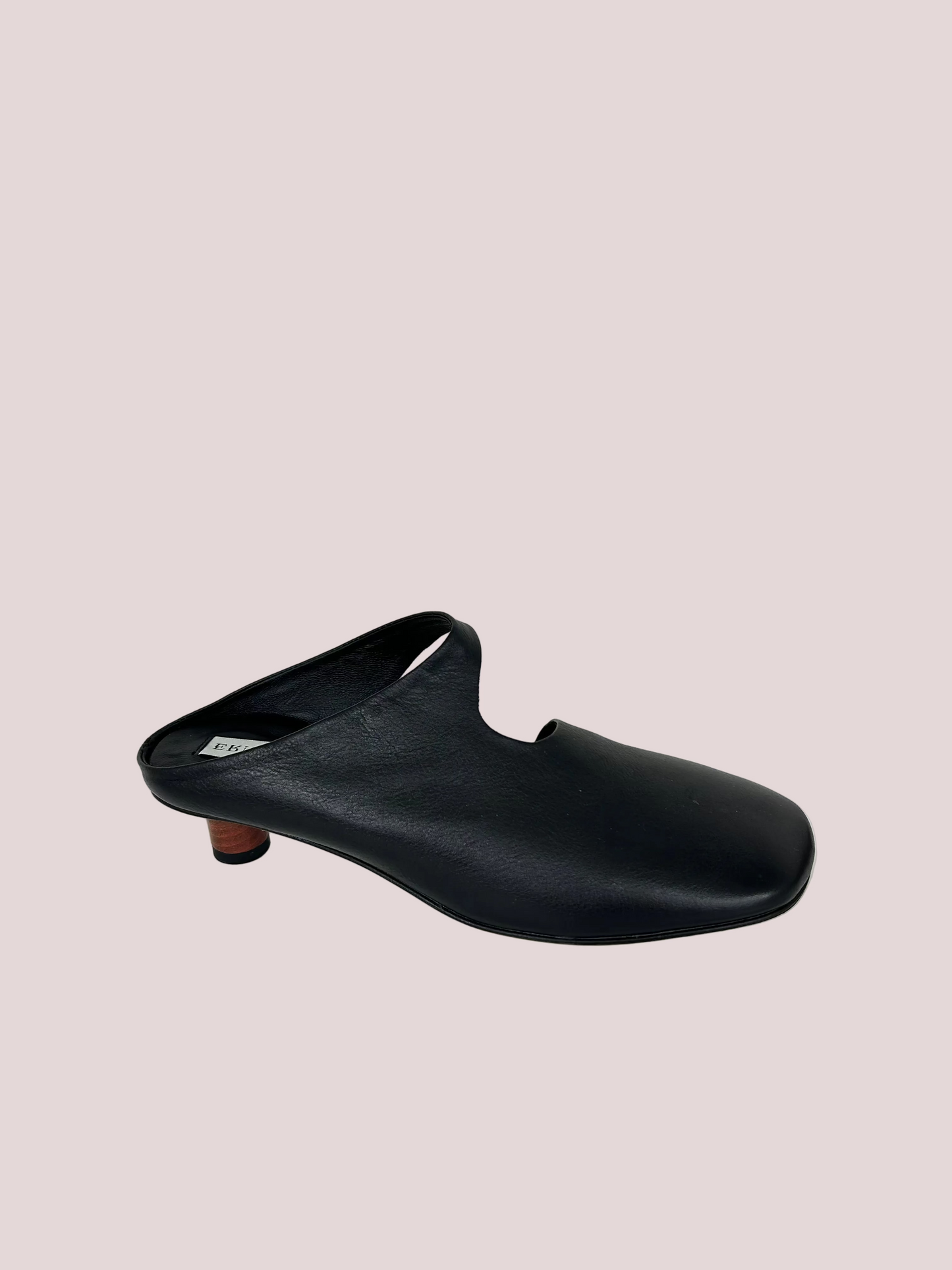 Ernesto Dolani Linda 05