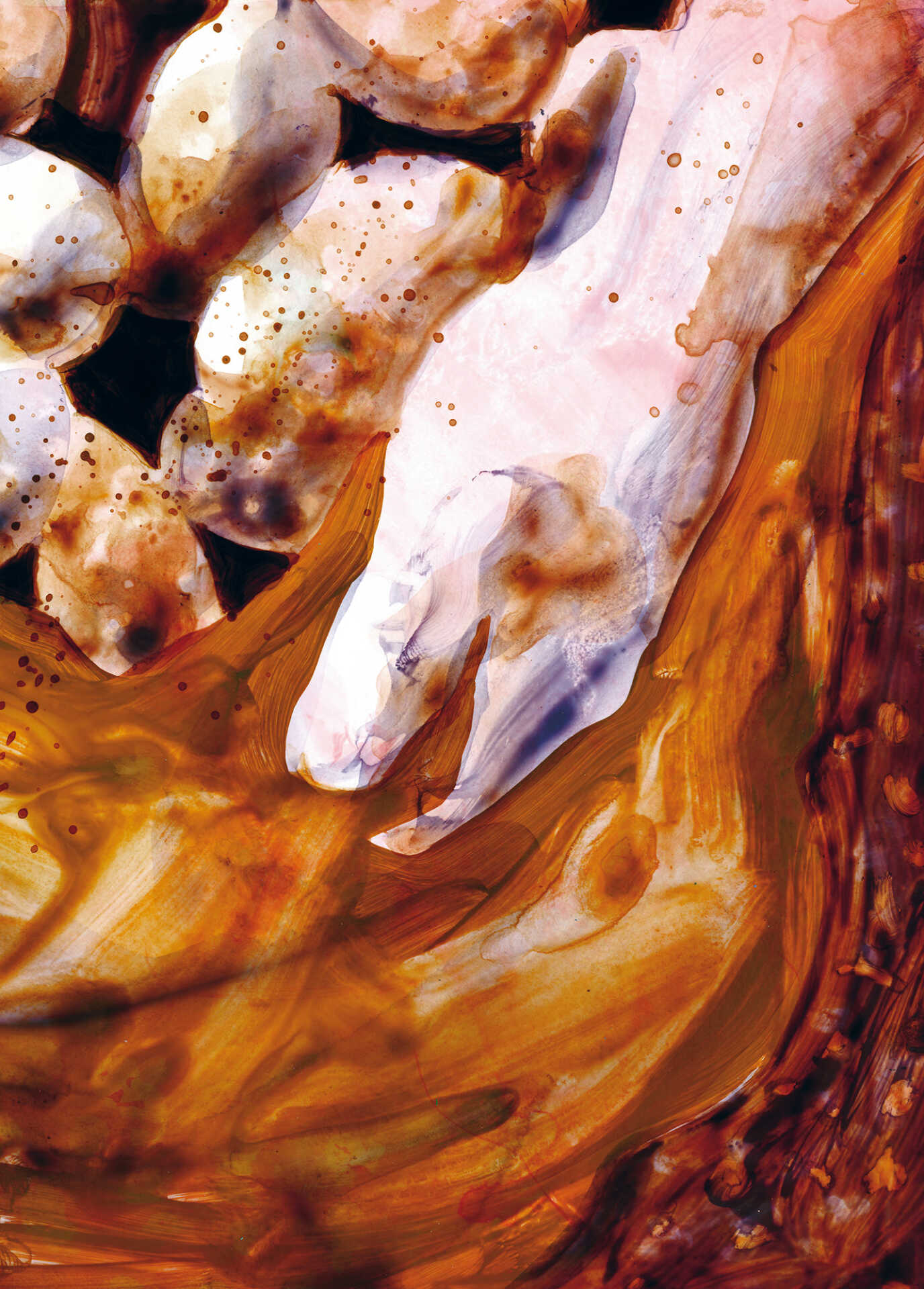 Dinah Wernli - "Louise"