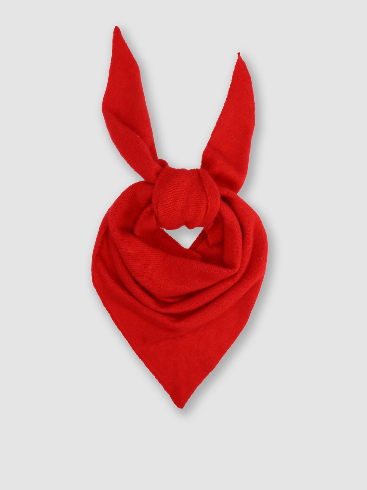 Roberto Collina Bandana