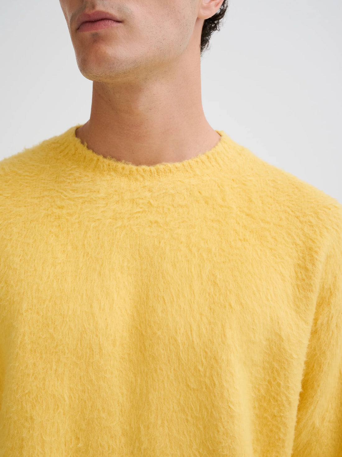 Roberto Collina Brushed Crew Neck