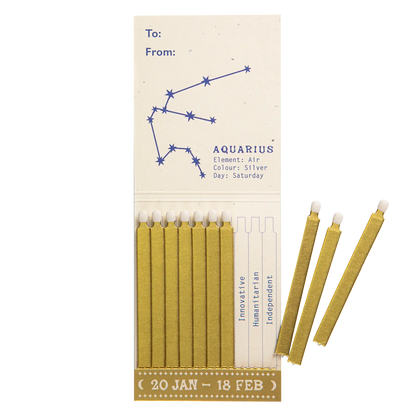 Archivist Aquarius Zodiac Matchbook