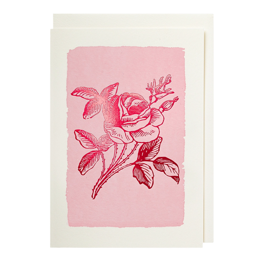 Archivist Pink Rose