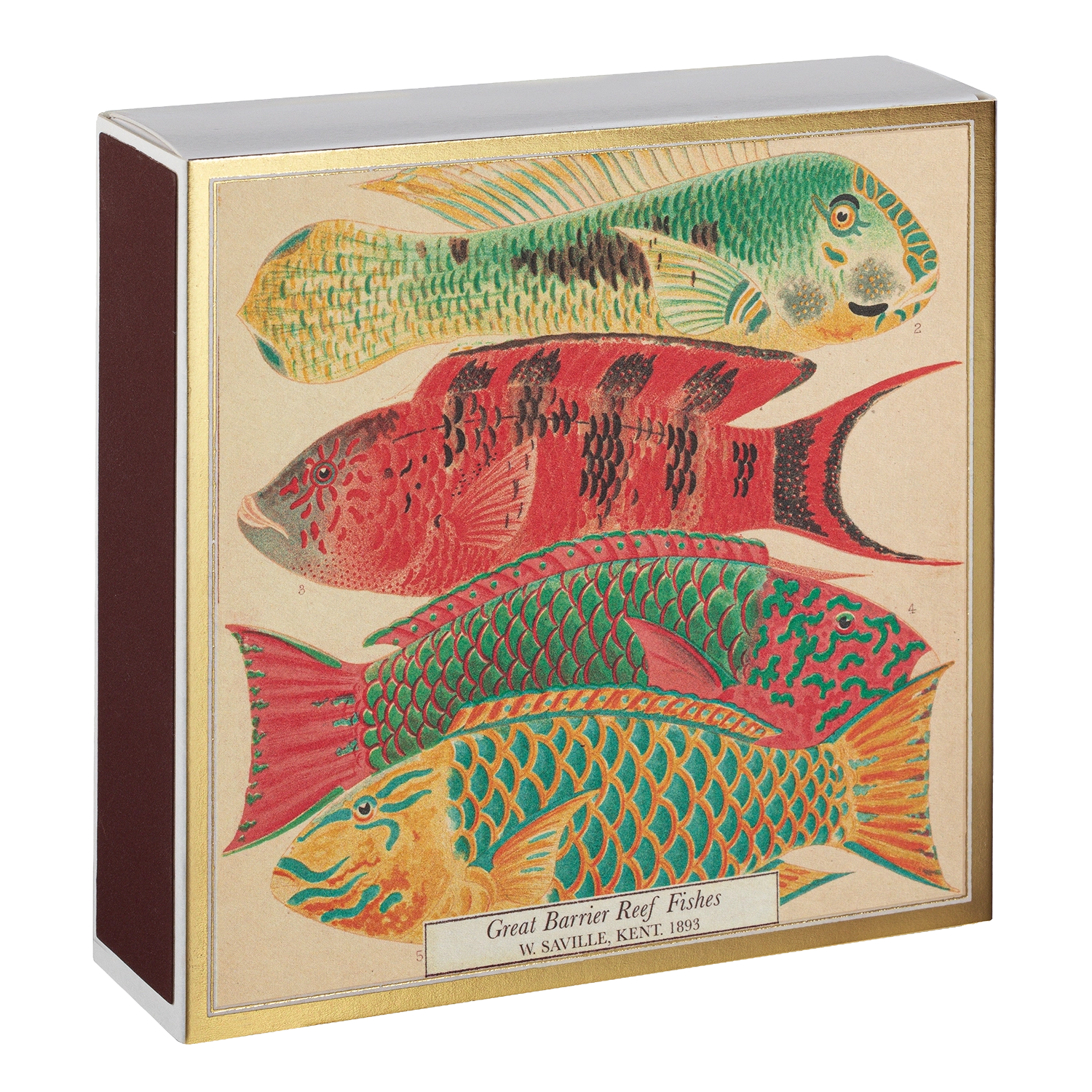 Archivist Fish Matches
