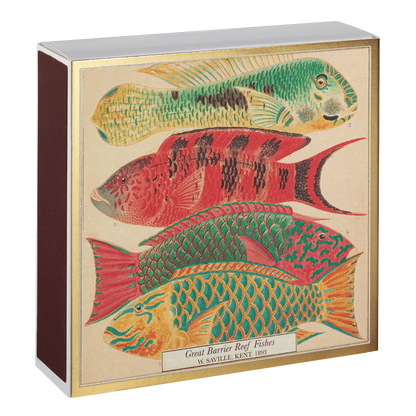 Archivist Fish Matches