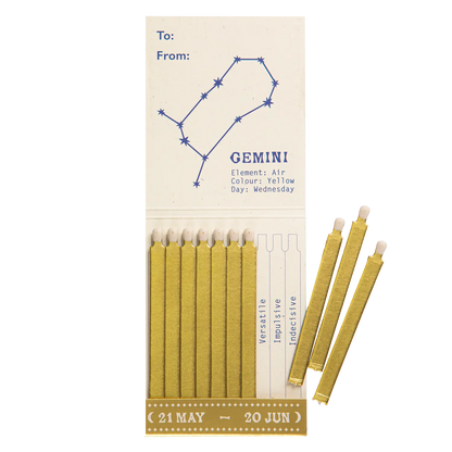 Archivist Gemini Zodiac Matchbook