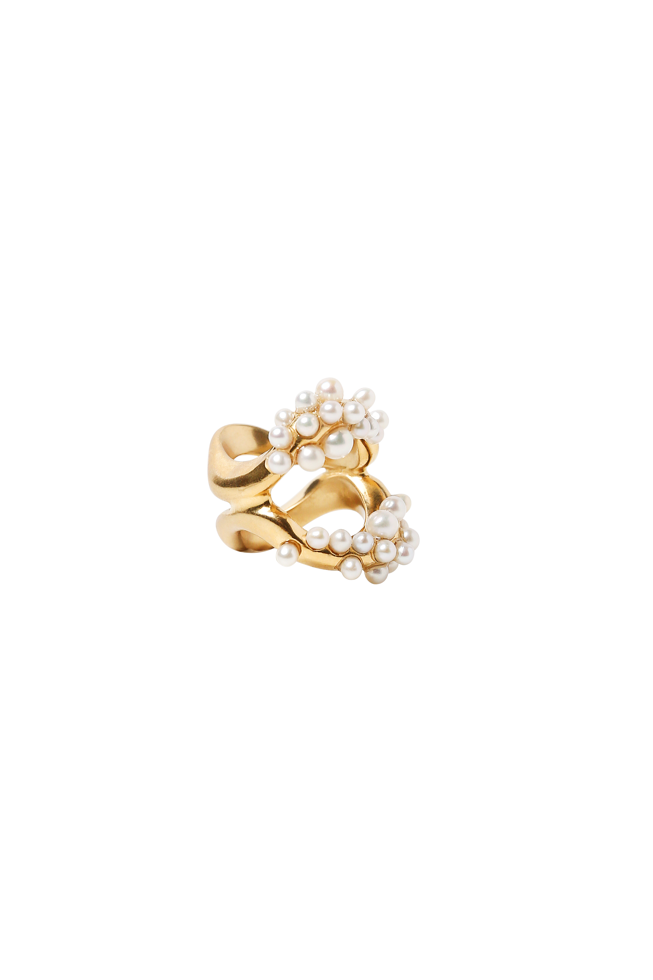 BEATRIZ PALACIOS A08-SWAN Lake Ring