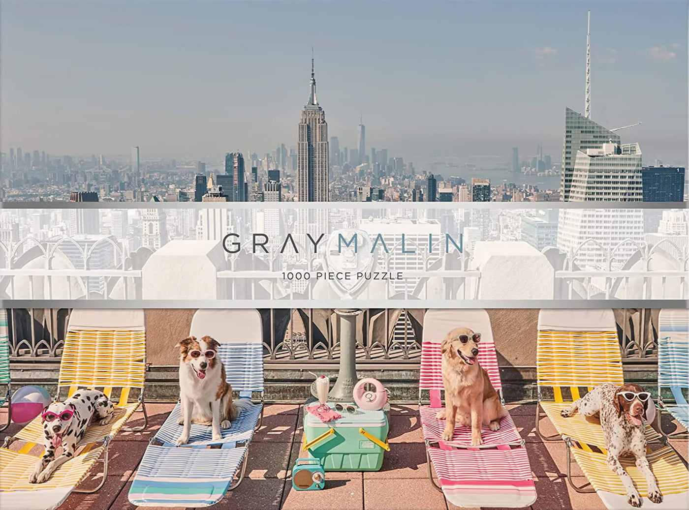 NEW MAGS - Gray Malin The Dogs of New York City