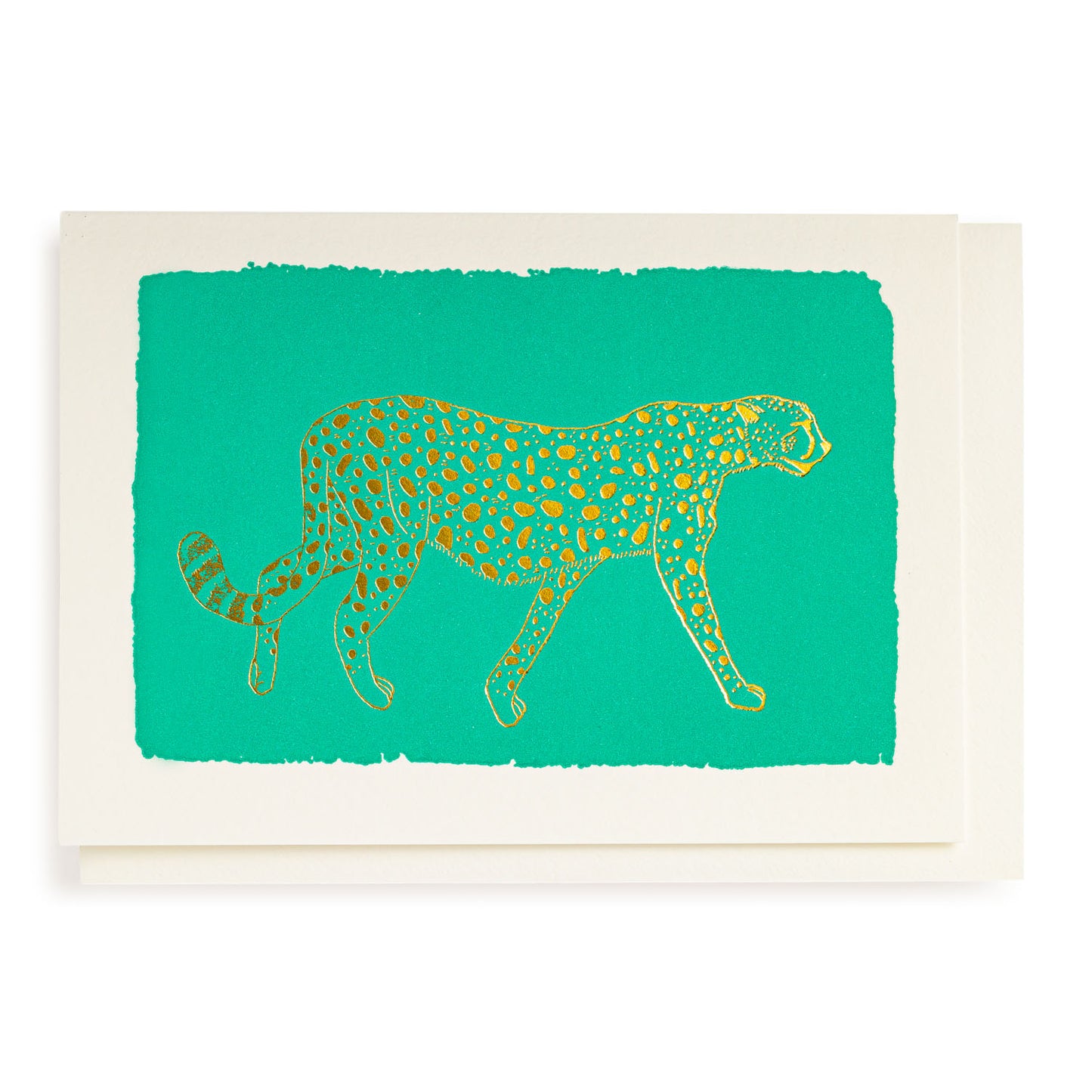 Archivist APS253 Mint Cheetah