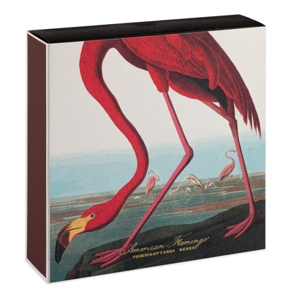 Archivist B316 The American Flamingo