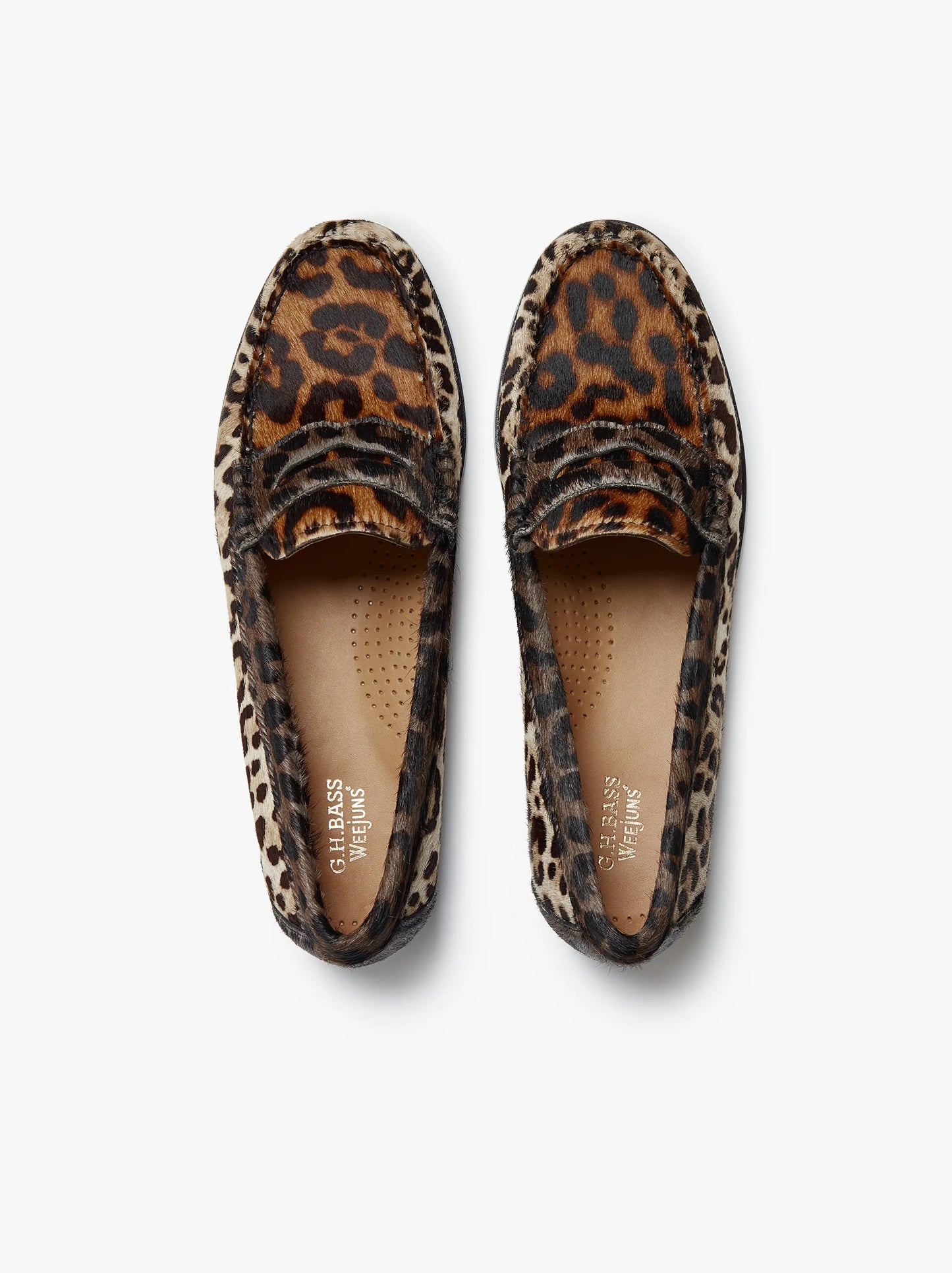GH Bass Whitney Leopard