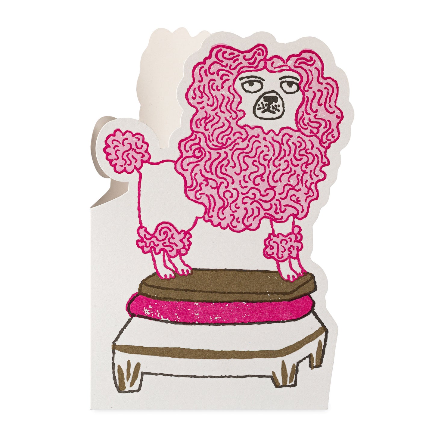 Archivist CO101 Poodle