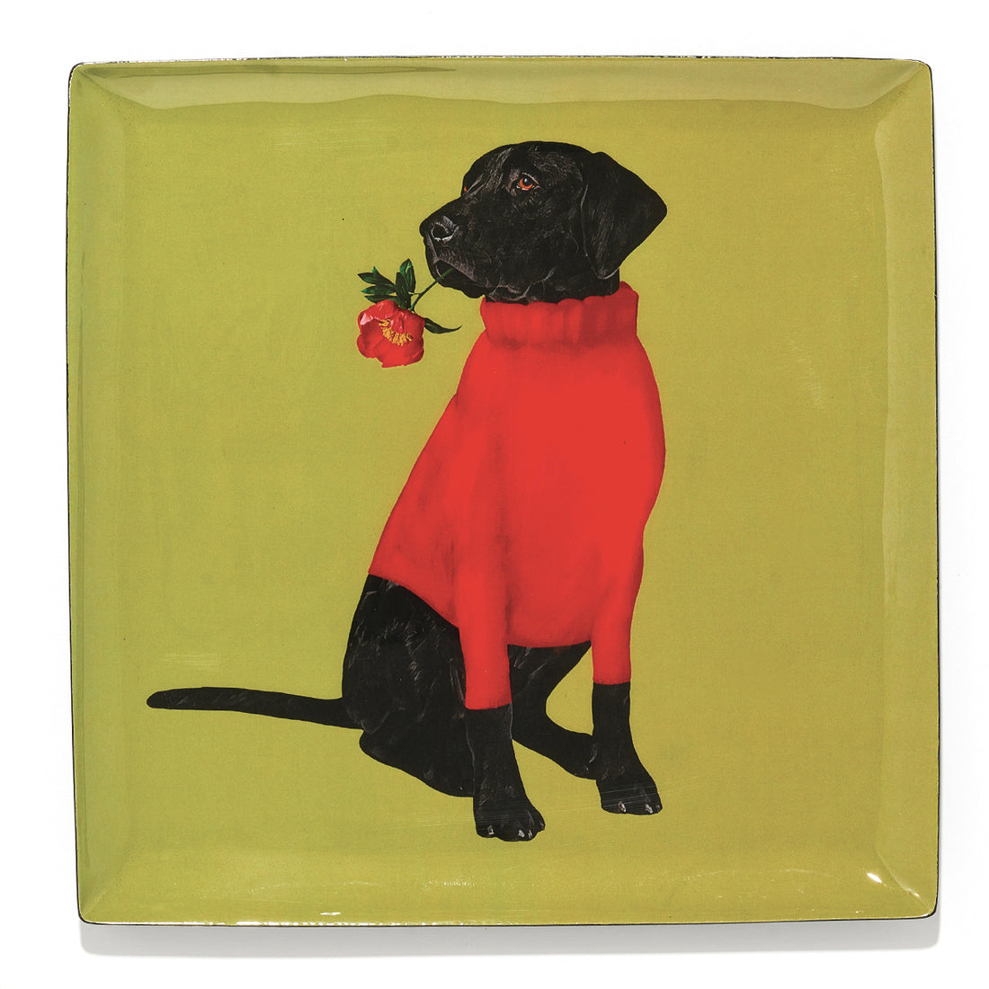 Gangzai Square trinket Tray Toox