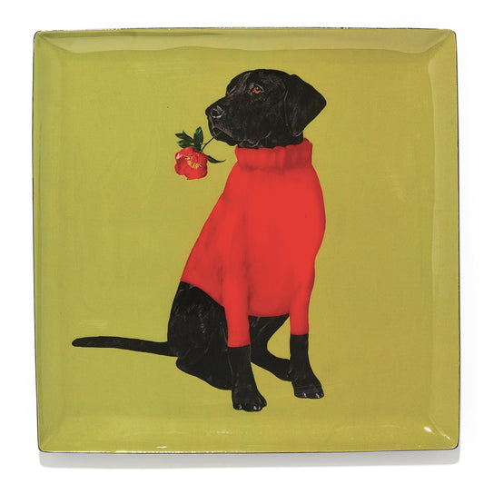 Gangzai Square trinket Tray Toox