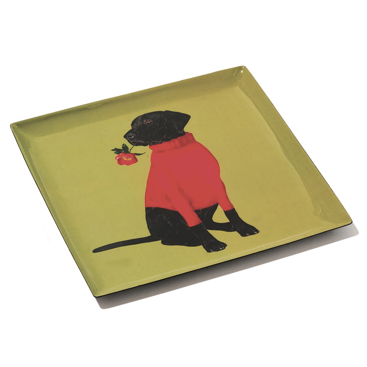 Gangzai Square trinket Tray Toox