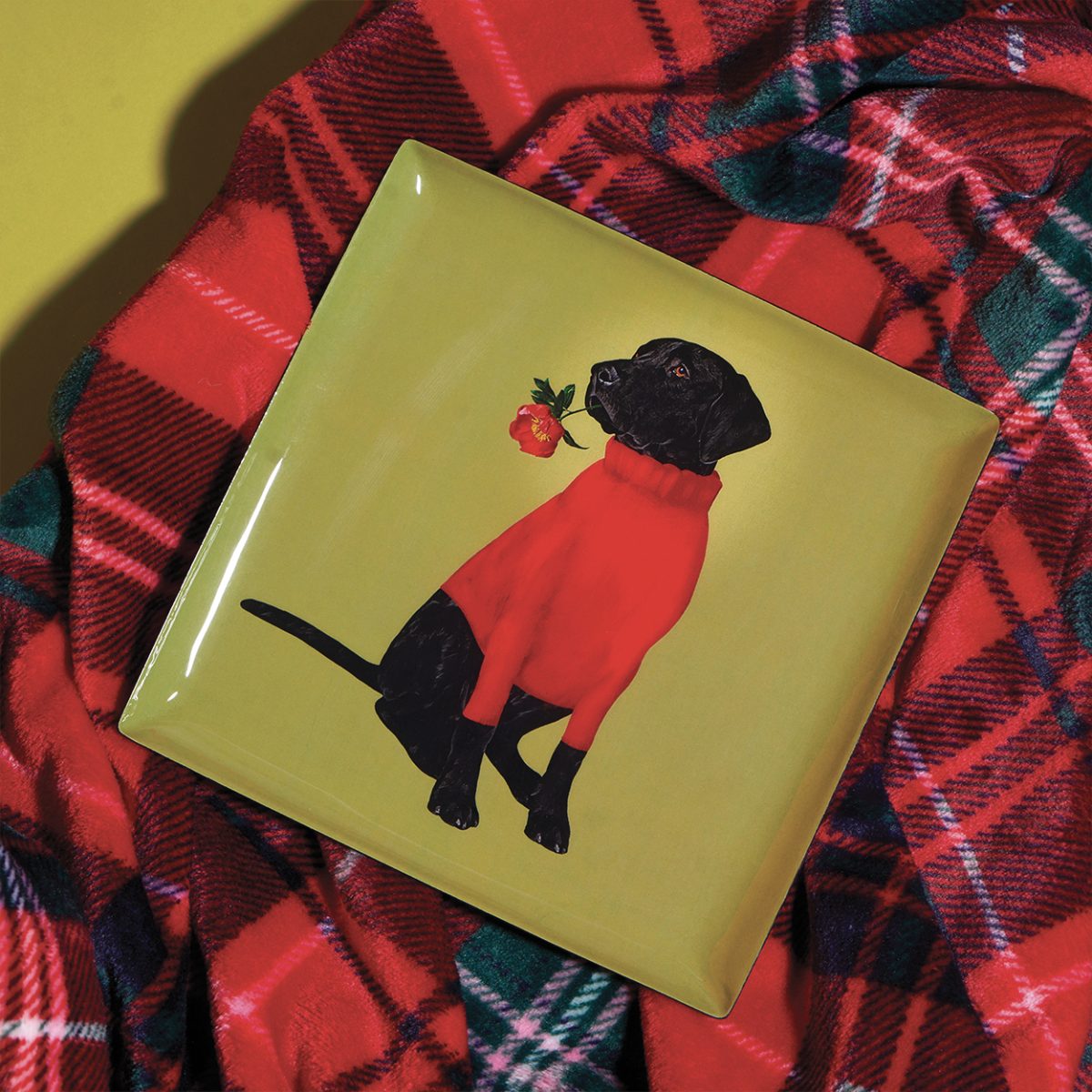 Gangzai Square trinket Tray Toox
