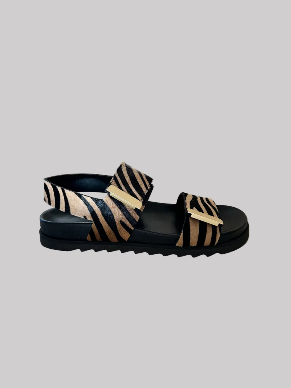 Antenora Jennifer Cavallino Zebra