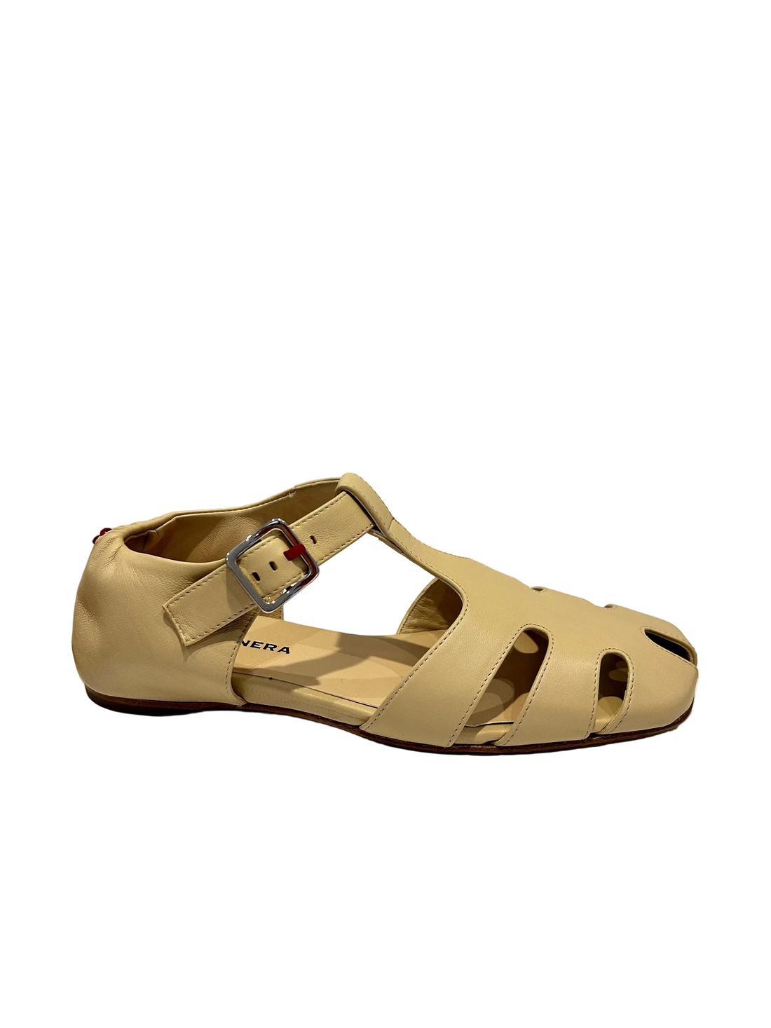Halmanera MONIC04
