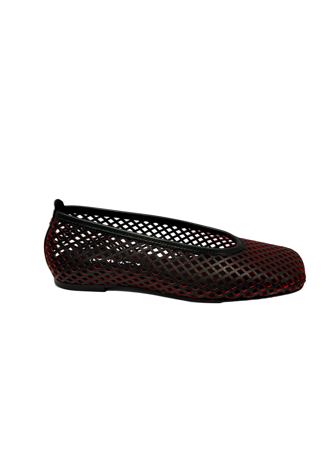 Halmanera MONIC07