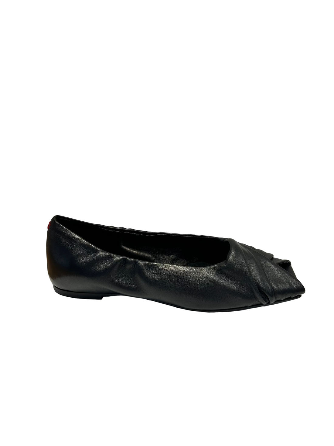 Halmanera SAMI01