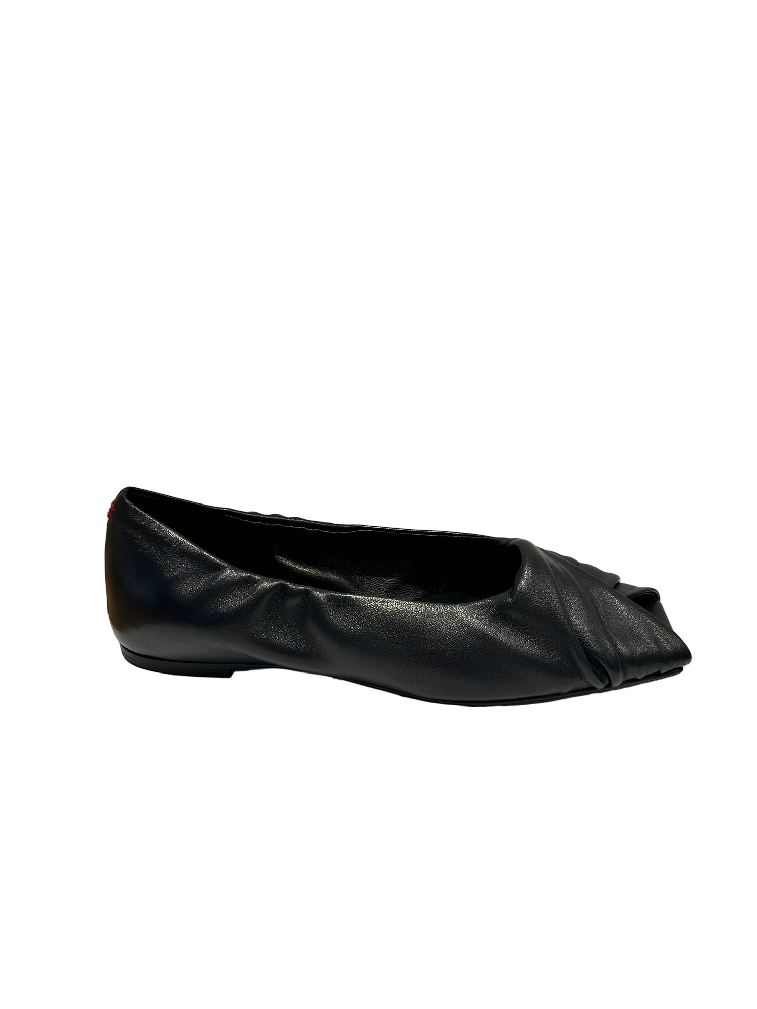 Halmanera SAMI01