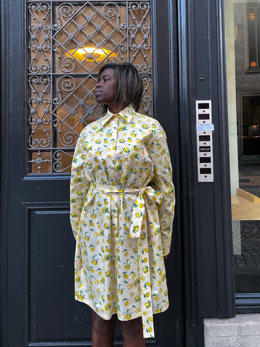 SPORTMAX Boero Dress