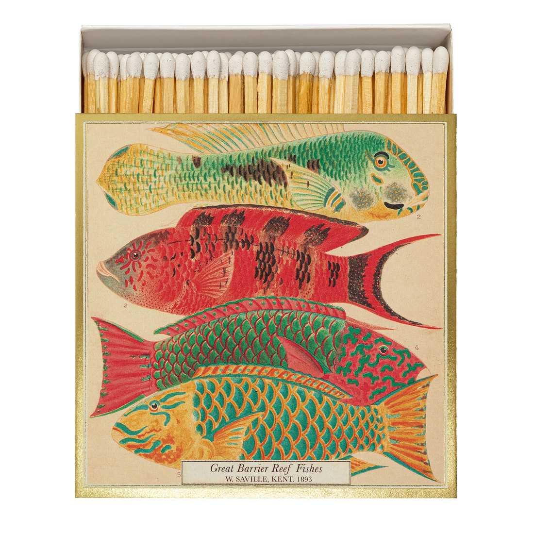 Archivist Fish Matches