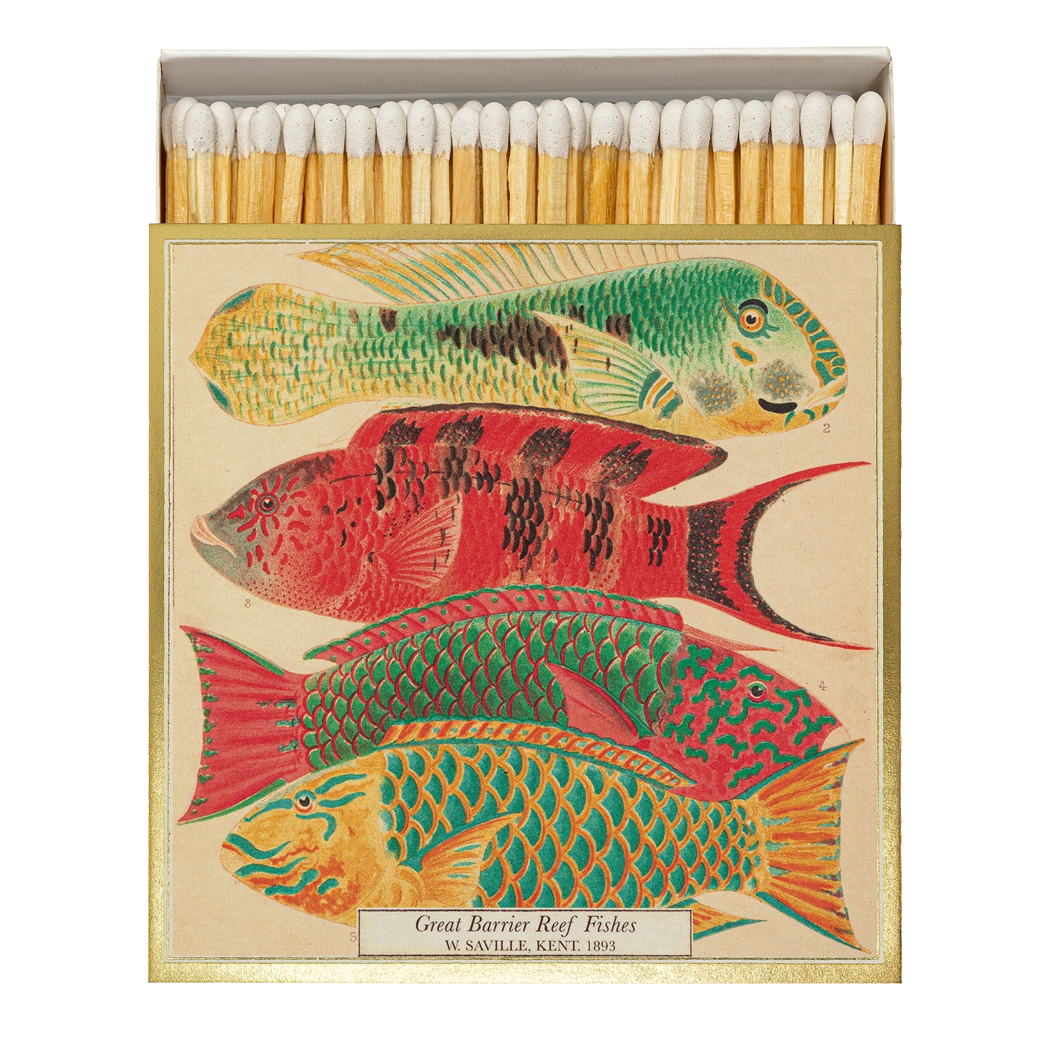 Archivist Fish Matches