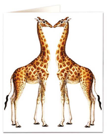 Archivist Giraffe