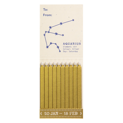 Archivist Aquarius Zodiac Matchbook
